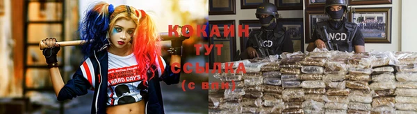 мдпв Бородино