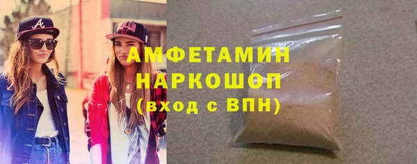мдпв Бородино
