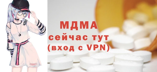 мдпв Бородино