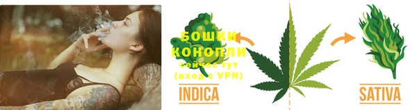 мдпв Бородино