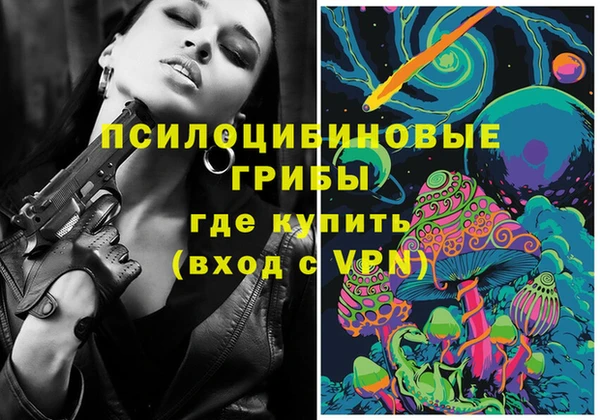 дмт Бронницы