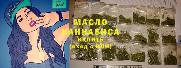 мдпв Бородино