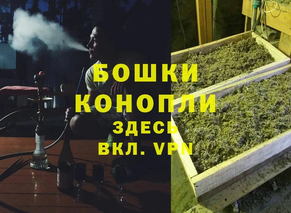 дмт Бронницы