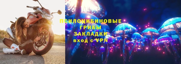 гашик Бугульма