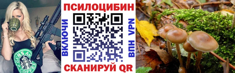 Псилоцибиновые грибы Psilocybine cubensis  где купить   Тверь 